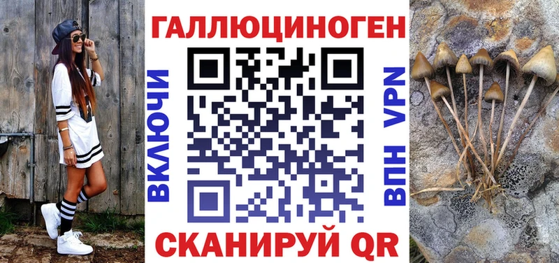 Купить  Чернушка  Псилоцибиновые грибы Psilocybine cubensis 