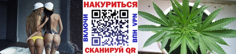 Купить  Чернушка  Каннабис индика 